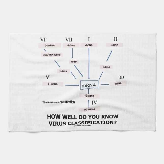 Wie gut kennen Sie Virus-Klassifikation? Geschirrtuch (Horizontal)
