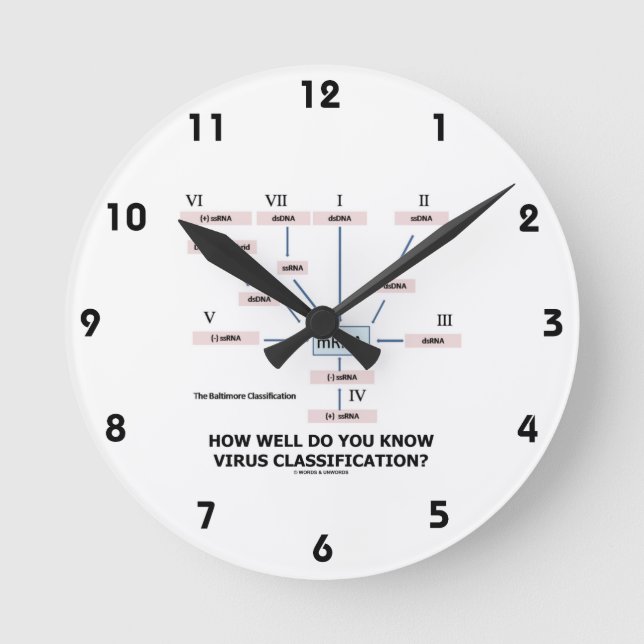 Wie gut kennen Sie Virus-Klassifikation? Runde Wanduhr (Vorderseite)