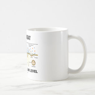 Wie ich esse auf dem zellulären Niveau Tasse