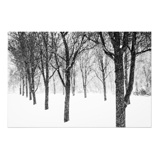 wie ich Seite an Seite mit Bäumen Fotodruck (Vorne)