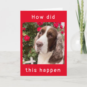 WIE IST DAS PASSIERT? "HAPPY 12. BIRTHDAY"-Karte Karte