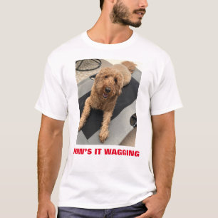 Wie ist es umständlich? T-Shirt