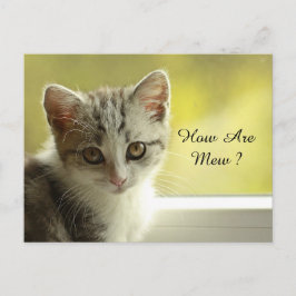 Wie ist Mew Kitten Postkarte