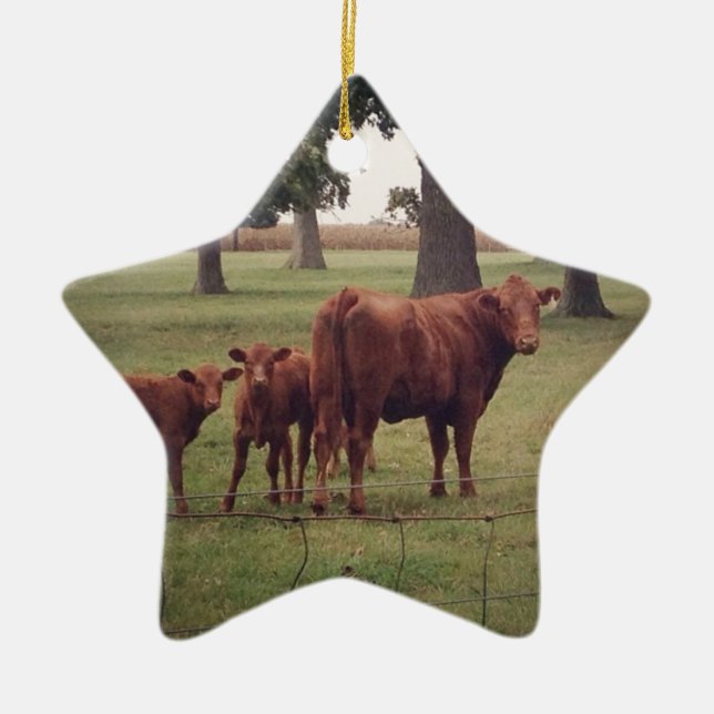 Wie jetzt braune Kuh Keramik Ornament (Vorne)