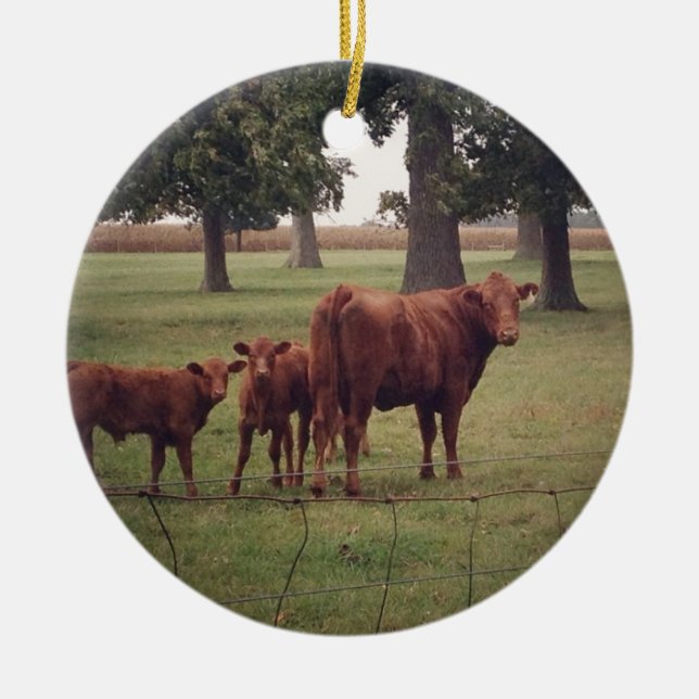 Wie jetzt braune Kuh Keramik Ornament (Vorne)