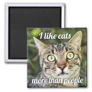 Wie Katzen mehr als Menschen, die mit Augen Katze  Magnet
