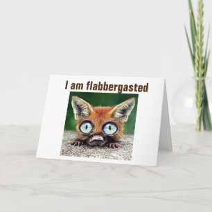 "WIE" KÖNNEN SIE "18" TIME SICHERE FLIES SEIN KARTE