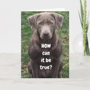 WIE KÖNNEN SIE "50" WENDEN? KARTE