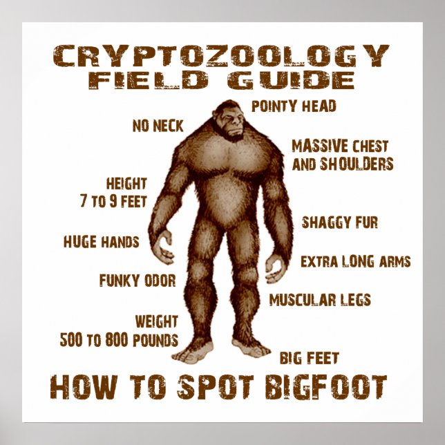 WIE MAN BIGFOOT SPEICHERT - Handbuch für das Feld  Poster (Vorne)