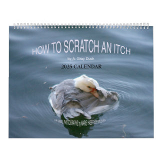 WIE MAN EIN ITCH VON A. Grey Duck 2025 SCRATCH? Kalender