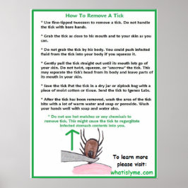 Wie man ein Tick Educational Poster entfernt