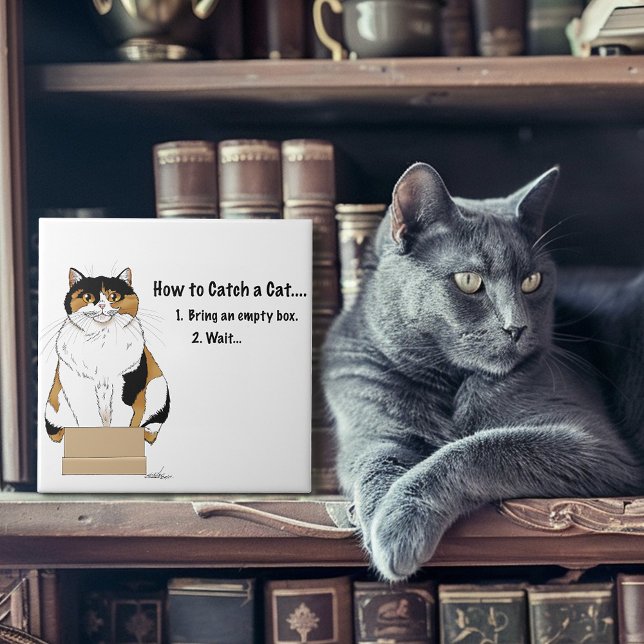 Wie man eine Katze fängt Fliese (Von Creator hochgeladen)