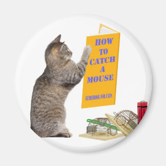 Wie man eine Maus fängt Magnet