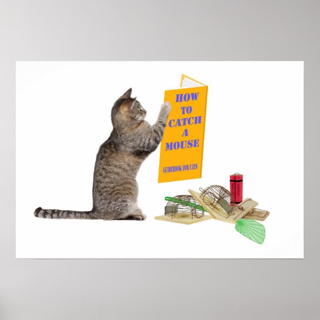 Wie man eine Maus fängt Poster (Vorne)