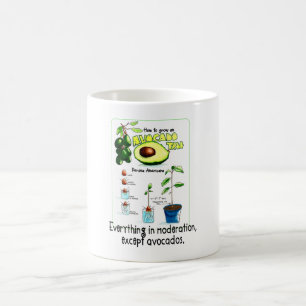 Wie man einen Avocadobaum züchtet Kaffeetasse