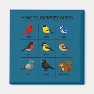 Wie man einen Vogel identifiziert lustige Vogelbeo Magnet
