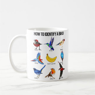 Wie man einen Vogel identifiziert - Vögel Foto Wil Kaffeetasse
