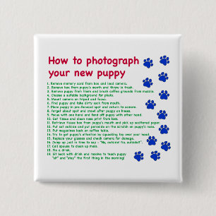 Wie man Ihren neuen Welpen fotografiert Button