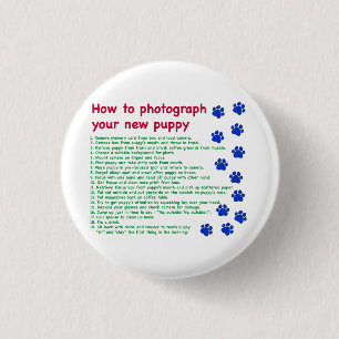Wie man Ihren neuen Welpen fotografiert Button