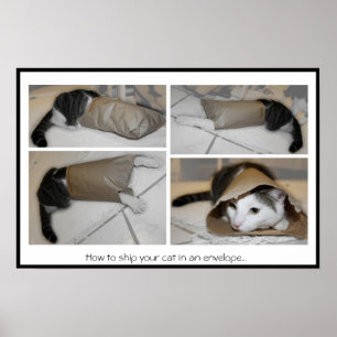 Wie man seine Katze in einen Umschlag verschickt.. Poster