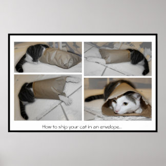 Wie man seine Katze in einen Umschlag verschickt.. Poster