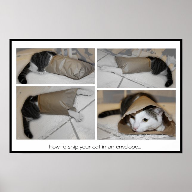 Wie man seine Katze in einen Umschlag verschickt.. Poster (Vorne)