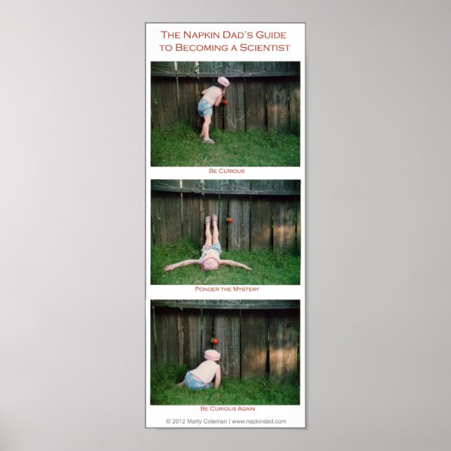 Wie man Wissenschaftler wird Poster (Vorne)