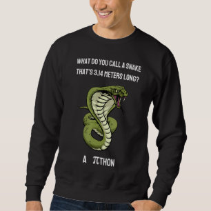 Wie nennt man eine Schlange Thatu2019s 3 14 Meter Sweatshirt