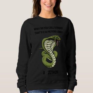 Wie nennt man eine Schlange Thatu2019s 3 14 Meter Sweatshirt