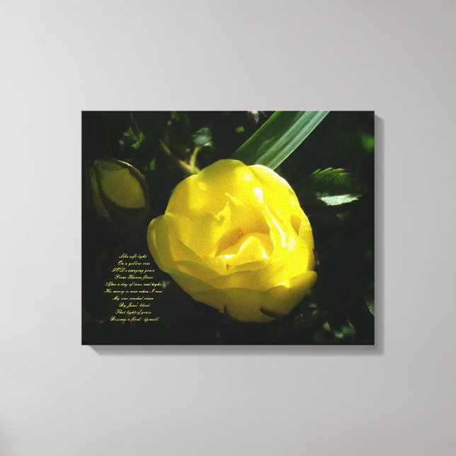 Wie sanftes Licht auf der Gelben Rose Leinwanddruck (Vorderseite)