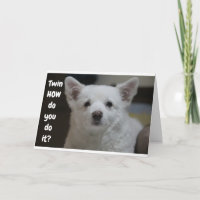 WIE SCHAUEN WIR SO JUNG ZWEI WANDERN SAGT PUP?