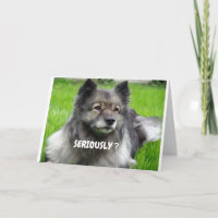 WIE SEHEN WIR SO JUNG ZWEI SÜSSEN PUP SAGT?