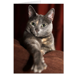 Wie sind Sie gewesen?