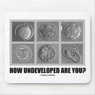 Wie unentwickelt bist du? Embryos Zygotes Mousepad