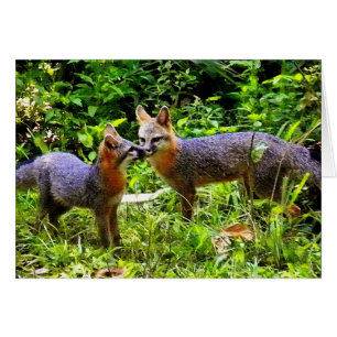 WIE VATER MÖGEN SIE SOHN