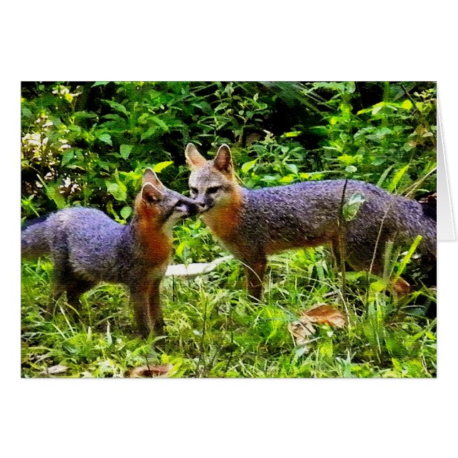 WIE VATER MÖGEN SIE SOHN (Vorderseite (Horizontal))