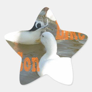 Wie Vater wie Sohn. Stern-Aufkleber