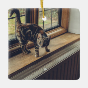 Wie viel ist diese Miezekatze im Fenster? Keramikornament
