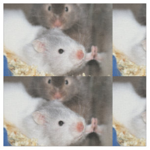 Wie viel kostet dieser Hamster im Fenster? Stoff