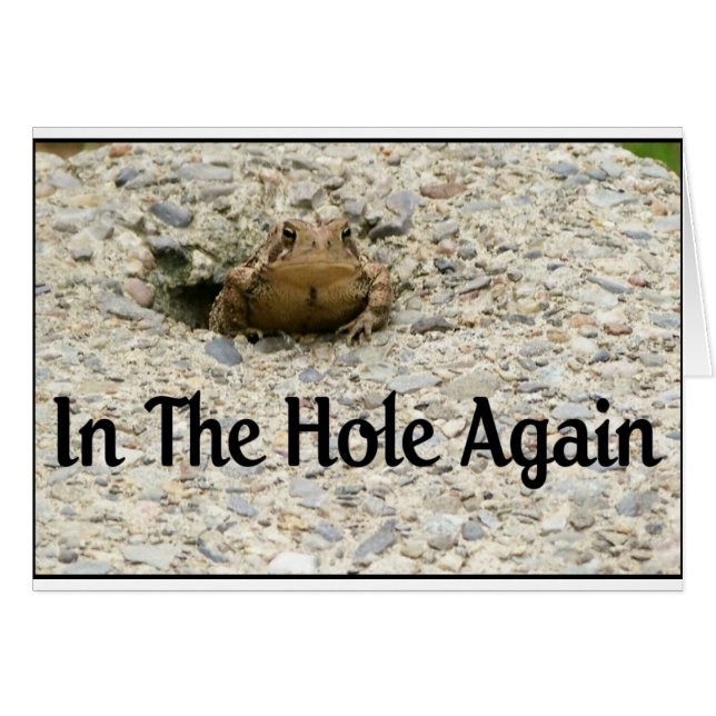 Wieder im Lot (Vorderseite (Horizontal))