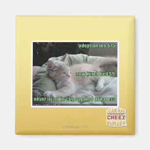 Wieder lebend nie, in einem Käfig Magnet