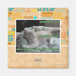 Wieder lebend nie, in einem Käfig Magnet