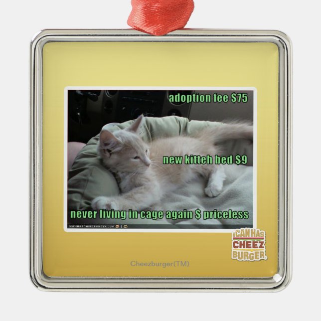 Wieder lebend nie, in einem Käfig Ornament Aus Metall (Vorne)