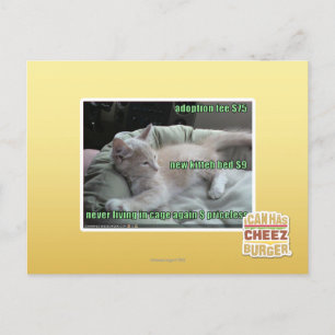 Wieder lebend nie, in einem Käfig Postkarte