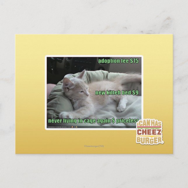 Wieder lebend nie, in einem Käfig Postkarte (Vorderseite)