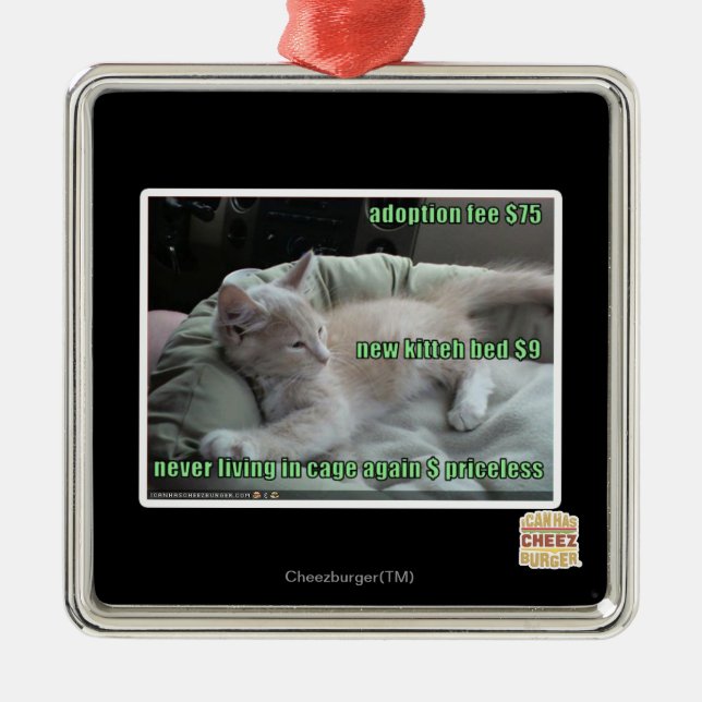 Wieder lebend nie, in einem Käfig Silbernes Ornament (Vorne)