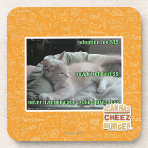 Wieder lebend nie, in einem Käfig Untersetzer