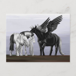 Wiedergabe 1 postkarte