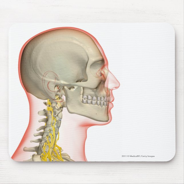 Wiedergabe der Nerven des Halses Mousepad (Vorne)