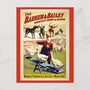 Wiederhergestellt, Barnum und Bailey, Gänse und Es Postkarte